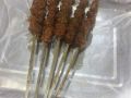 南一经街的烟火 天天活羊全羊馆的羊肉记